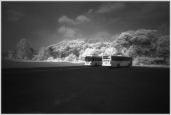 dailyPhoto37